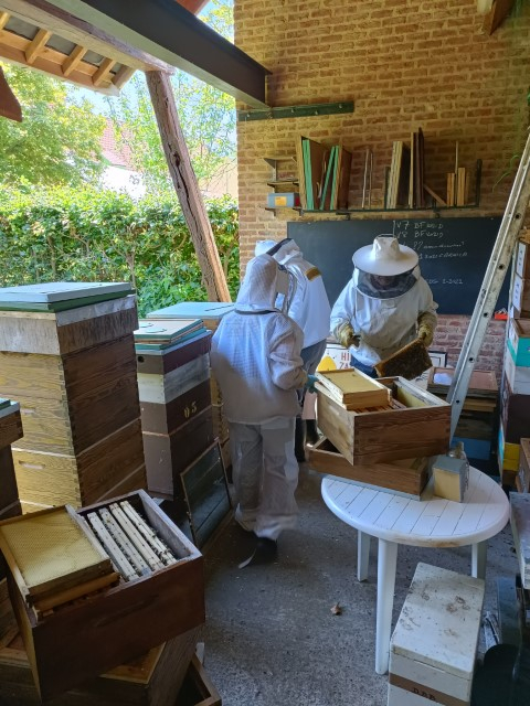 img20220602141958-klein-2